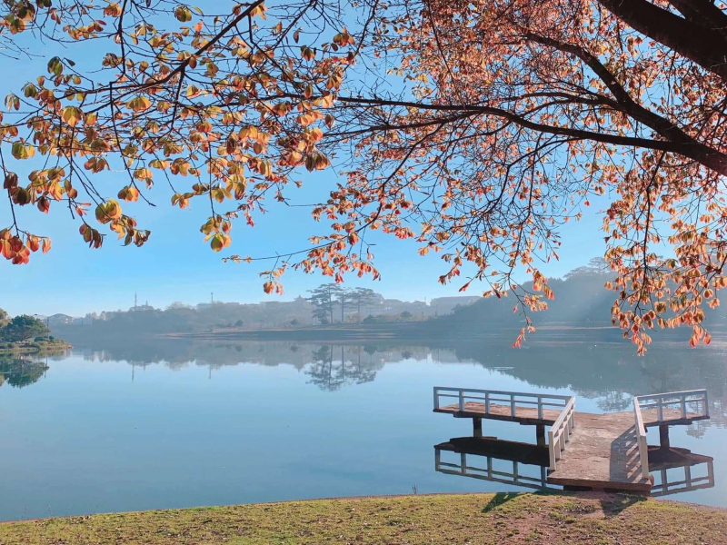 Dalat, Vietnam captures travelers with its exceptionally pleasant weather (Source: Collected)