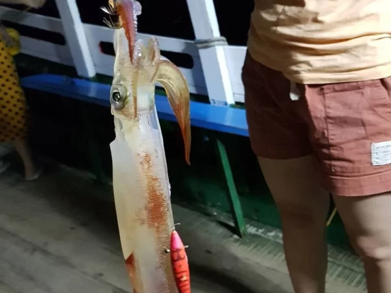 Squid fishing in Phu Quoc is a not-to-be-missed activity at night (Source: Collected) Squid fishing in Phu Quoc is a not-to-be-missed activity at night (Source: Collected)