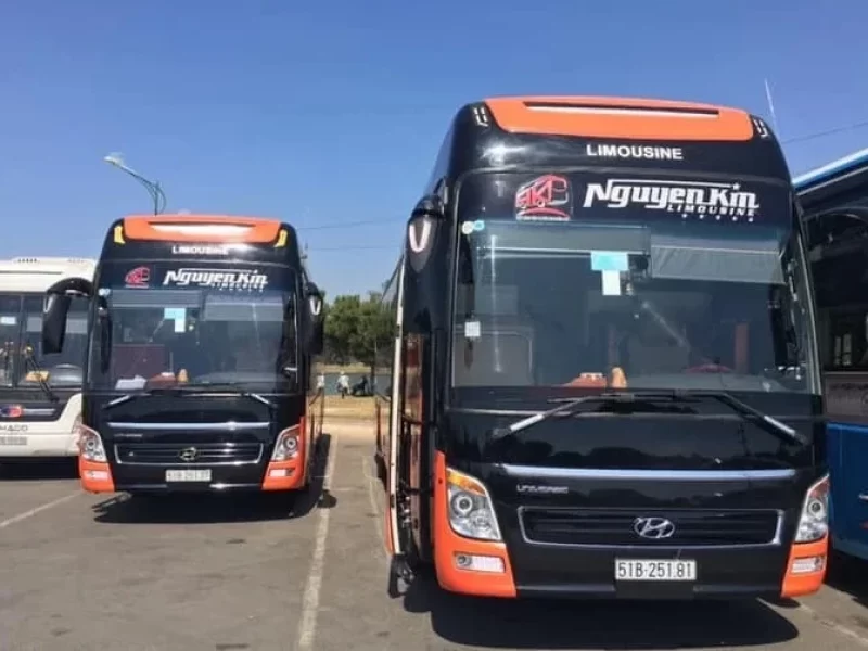 A VIP bus from Ho Chi Minh City to Dalat (Source: Collected)