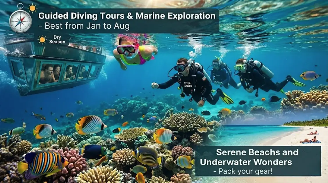 Scuba divers exploring colorful coral reef at Hon Mun Marine Reserve in Nha Trang Bay, Vietnam — one of Asia's top snorkeling and diving destinations