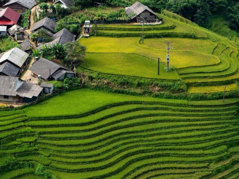 Aerial view of Ta Van Village and rice terraces near the Ancient Stone Field of Sapa Aerial view of Ta Van Village and green rice terraces in the Muong Hoa Valley near the Ancient Stone Field of Sapa