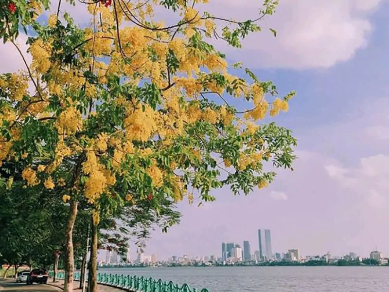 A Hanoi street food tour around West Lake is a delightful way to explore the city's cuisine (Source: Collected)