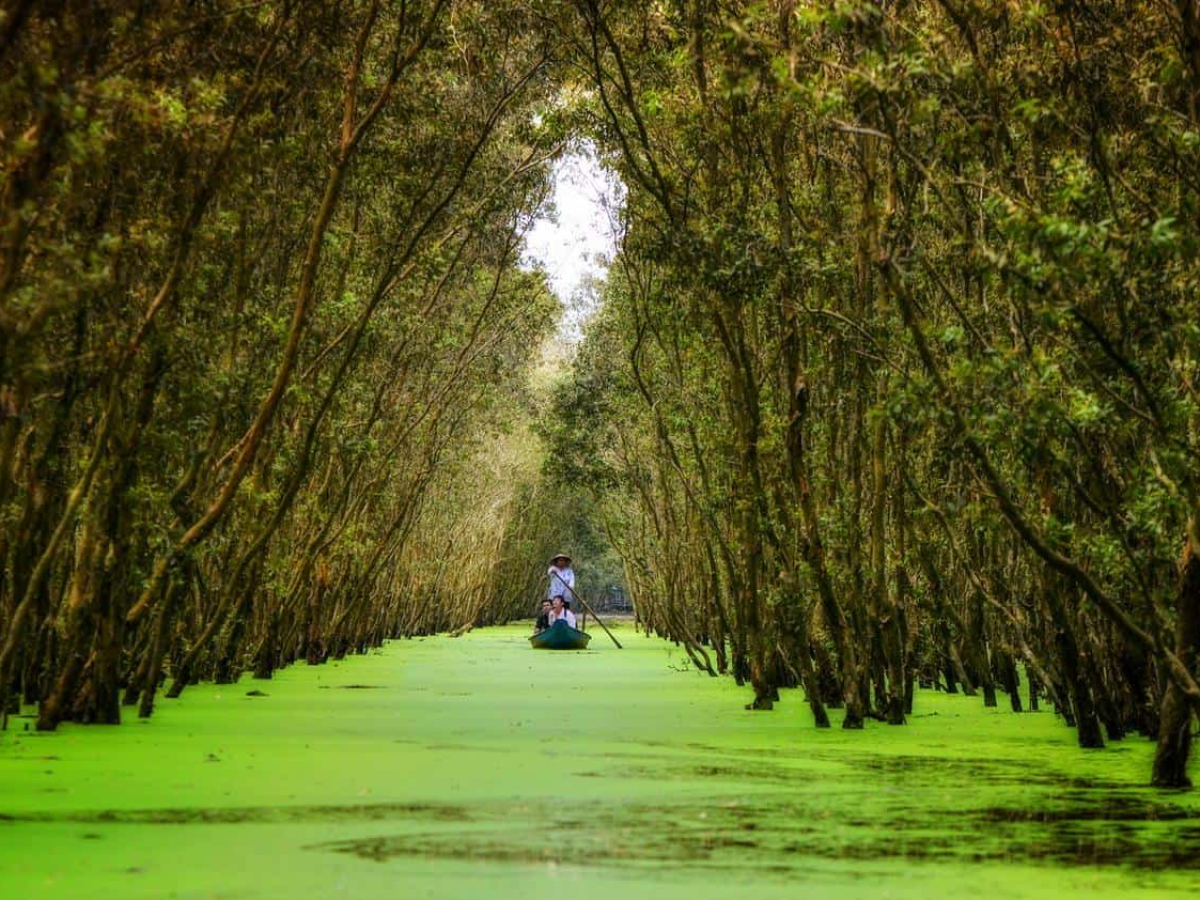 Tra Su Cajuput Forest: Complete Travel Guide