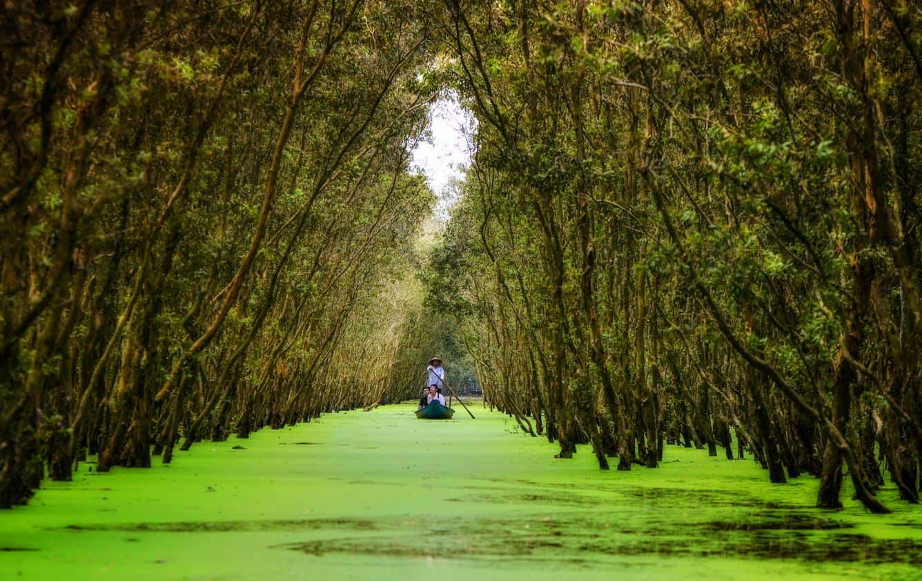 Tra Su Cajuput Forest: Complete Travel Guide
