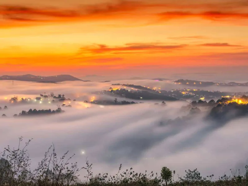 Cloud Hunting at Trai Mat Farm: Dalat's Enchanted Retreat-Source: Collected