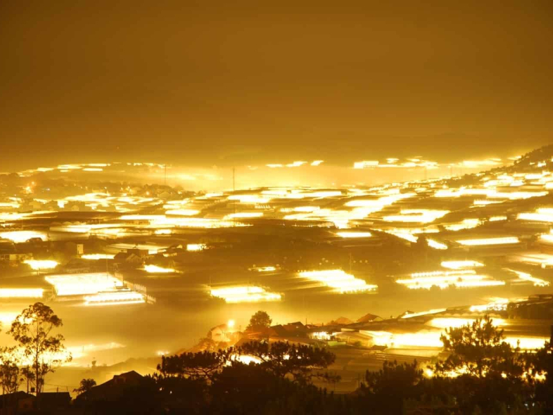 Admiring the Trai Mat Light Paradise at Night Admiring the Trai Mat Light Paradise at Night
