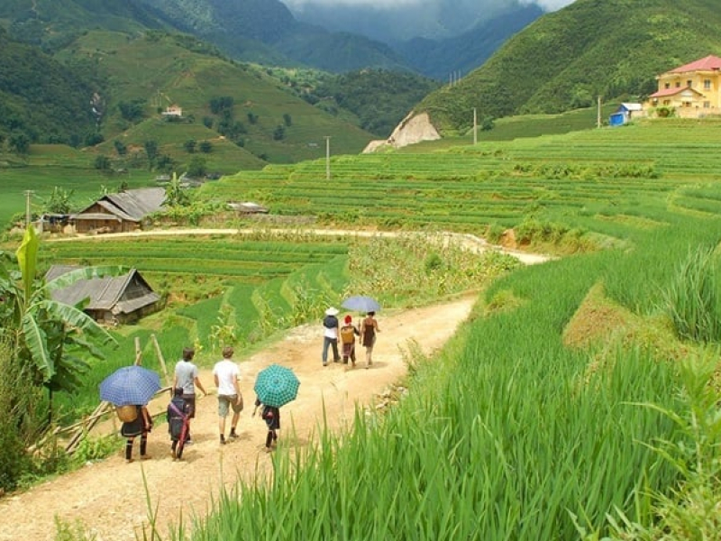 The beautiful scenery of Y Linh Ho in summer (Source: Collected) The beautiful scenery of Y Linh Ho in summer (Source: Collected)