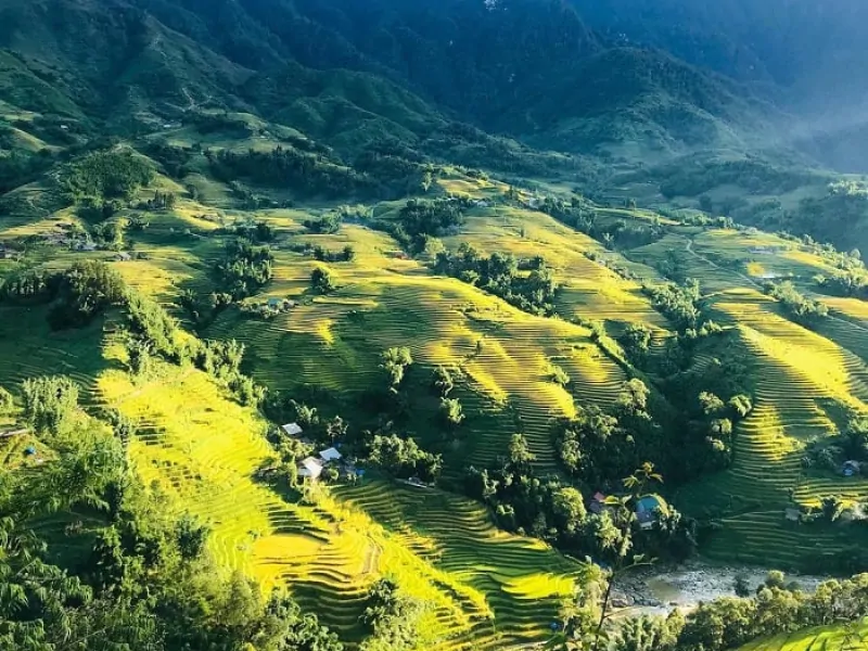 Y Linh Ho Village Sapa: A Complete Backpacker’s Travel Guide Y Linh Ho Village Sapa: A Complete Backpacker’s Travel Guide