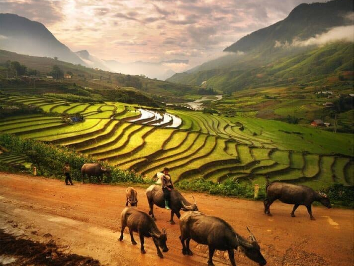 Y Linh Ho Village Sapa: A Complete Backpacker’s Travel Guide