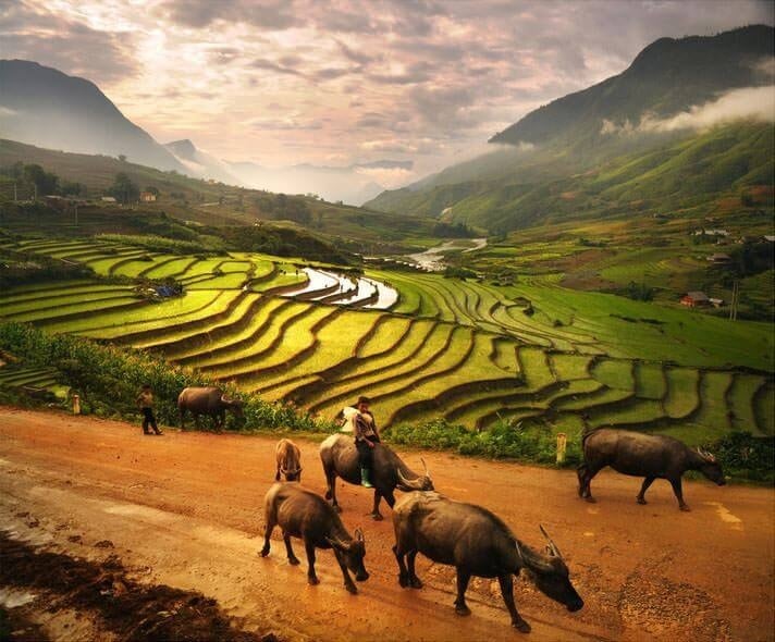 Y Linh Ho Village Sapa: A Complete Backpacker’s Travel Guide