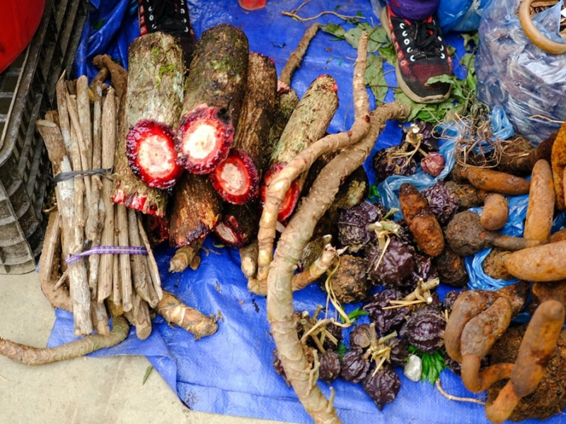 You can even find many types of herbs at Bac Ha Market