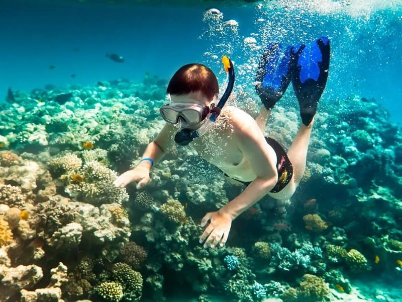 Watching coral reefs is an activity you should not miss (Source: Collected)