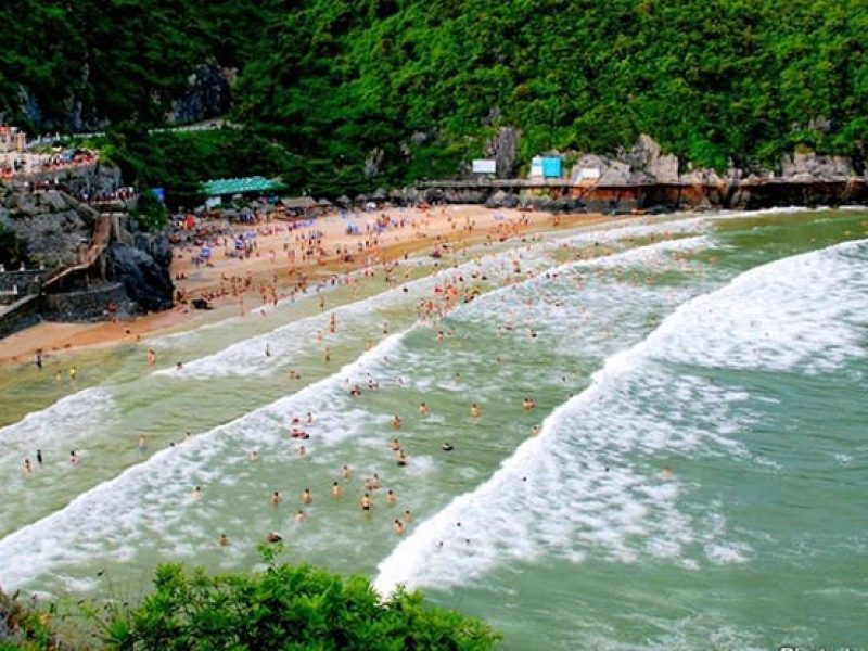 Cat Ba Vietnam (Source: collected) Cat Ba Vietnam (Source: collected)