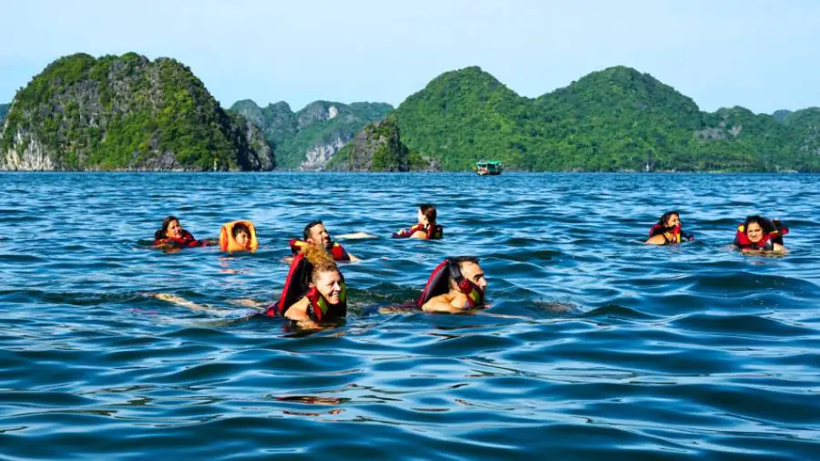 Halong tour packages-https://vietnamdiscoverytours.com/