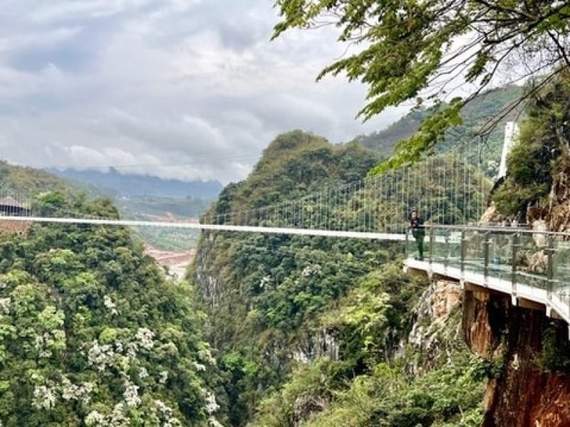 Bach Long glass bridge in Moc Chau - Photo: @club_du_lich Bach Long glass bridge in Moc Chau - Photo: @club_du_lich