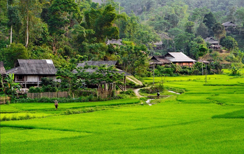 Natural Beauty of Mong Village in Son La, Vietnam