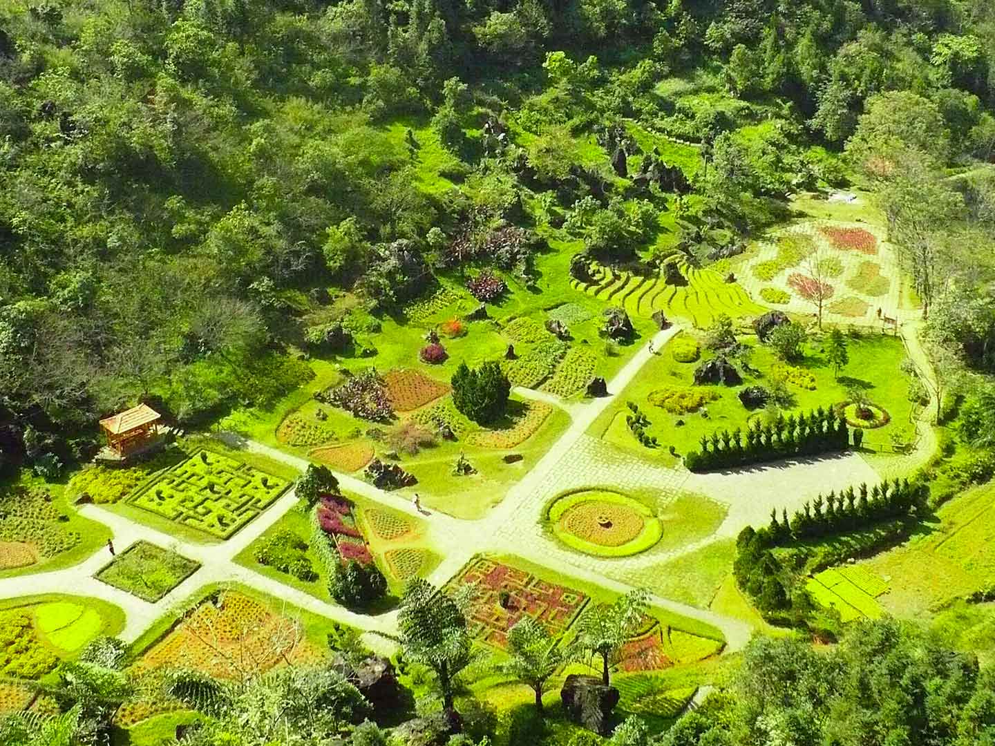 Ham Rong Mountain Sapa | Vietnam Discovery Tours