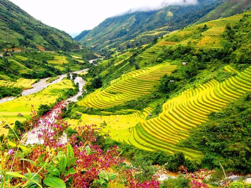 Flower Gardens and Orchards Flower Gardens and Orchards