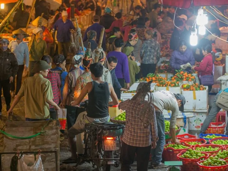 Long Bien Market: A Sleepless Night in Local Market-Photo by @Annapurna