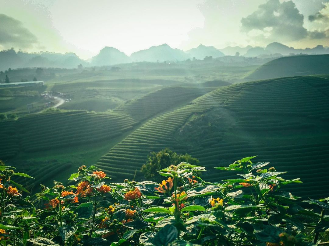 Best Things To Do In Moc Chau
