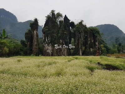 The breathtaking beauty of Thach Son Than (Source: Collected) The breathtaking beauty of Thach Son Than (Source: Collected)