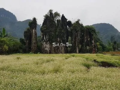 The breathtaking beauty of Thach Son Than (Source: Collected)