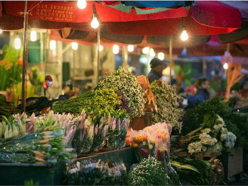 Quang Ba Flower Market in Hanoi: Your Guide with Vietnam Discovery Travel