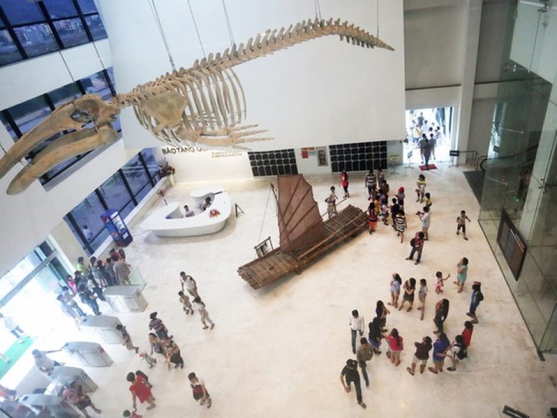 Quang Ninh Museum: A Cultural Marvel in Halong City Quang Ninh Museum: A Cultural Marvel in Halong City