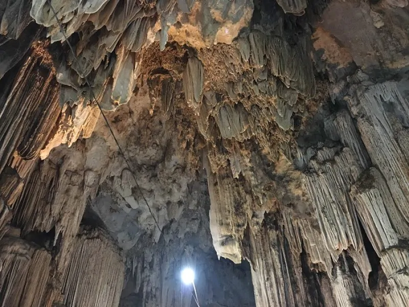 Son Moc Huong Cave: The Enchanting Bat Cave of Moc Chau
