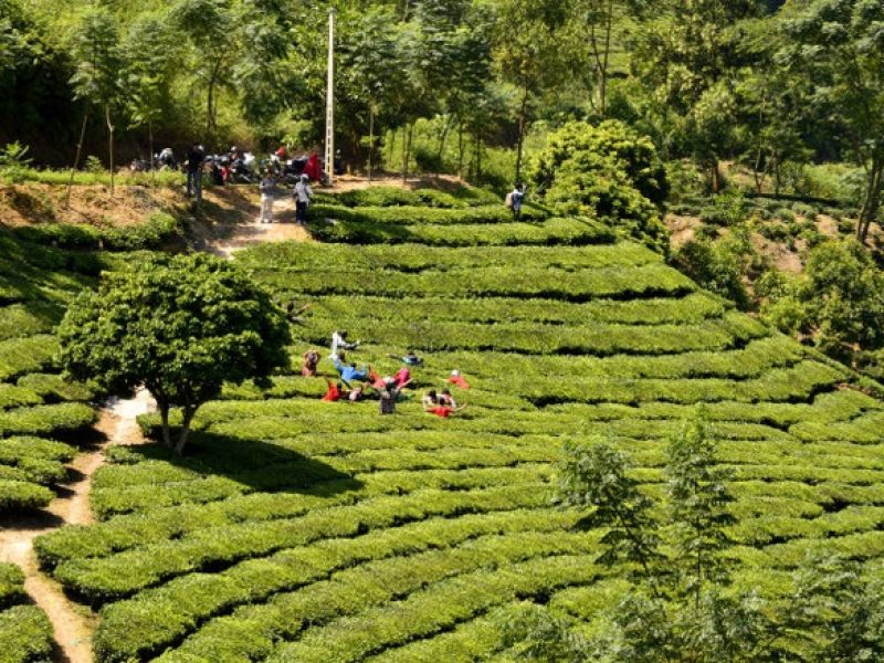 Suoi Giang Location and Climate-Photo : zingnews.vn