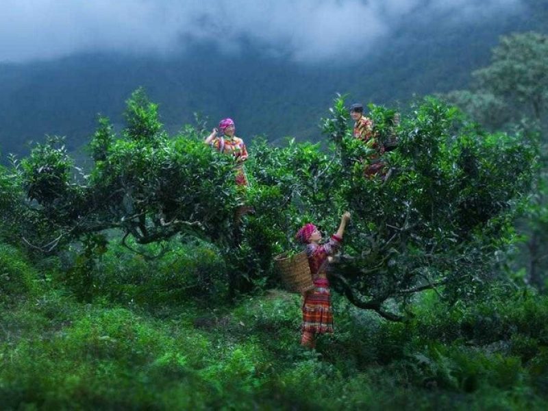 Suoi Giang: A Comprehensive Travel Guide-Photo : luhanhvietnam.com.vn