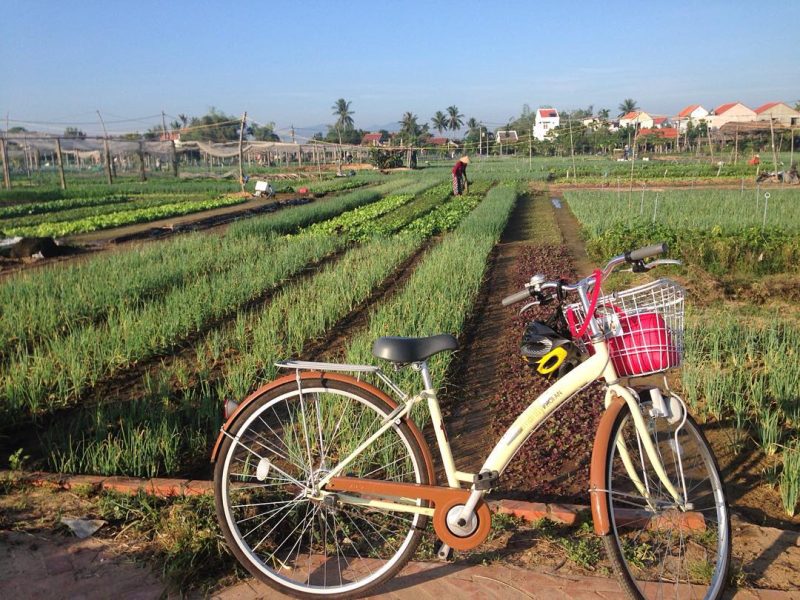 Hands-on Farming and Village Tours-Photo by @quynhsg