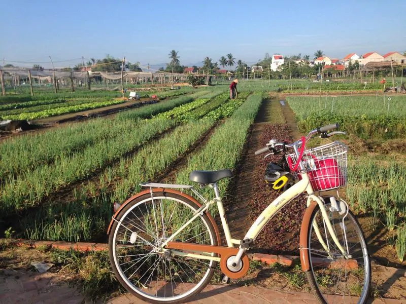 Hands-on Farming and Village Tours-Photo by @quynhsg Hands-on Farming and Village Tours-Photo by @quynhsg