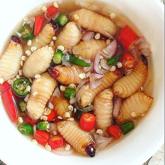 5 Most Unusual Vietnamese Dishes to Challenge You