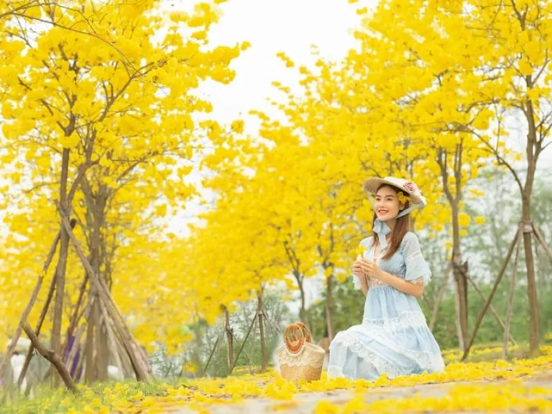 Hanoi's weather in February offers a memorable journey (Source: Collected) Hanoi's weather in February offers a memorable journey (Source: Collected)