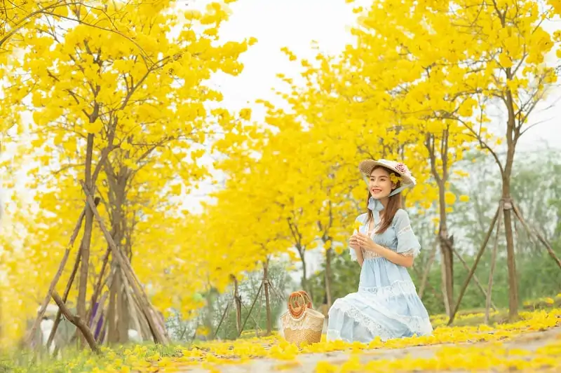 Hanoi Weather in February Complete Climate Guide, 2025