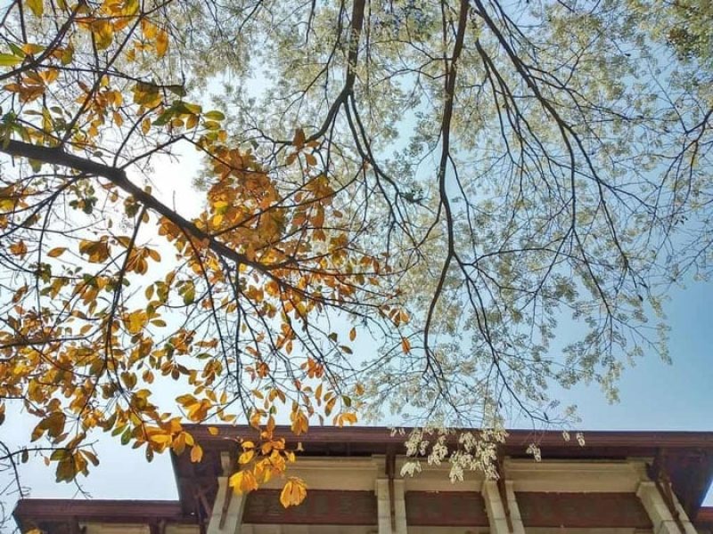 The ultimate October temperature guide to Hanoi (Source: Collected) The ultimate October temperature guide to Hanoi (Source: Collected)