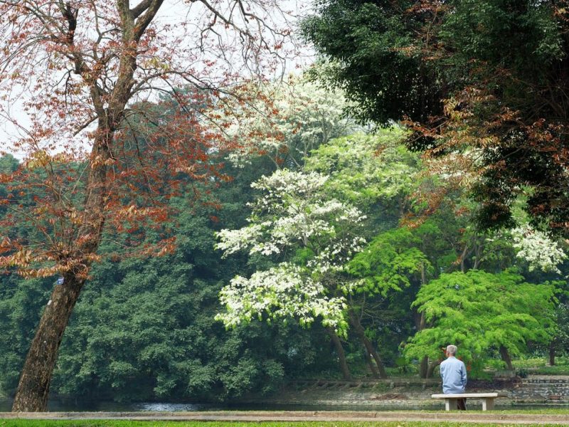 The temperature in Hanoi in March is from 17°C to 23°C (Source: Collected) The temperature in Hanoi in March is from 17°C to 23°C (Source: Collected)