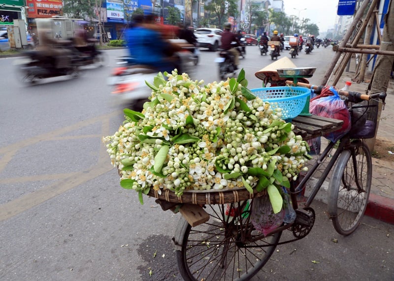Hanoi’s Weather in March: Complete Climate Guide