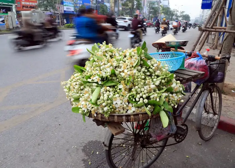 Hanoi’s Weather in March: Complete Climate Guide, 2024