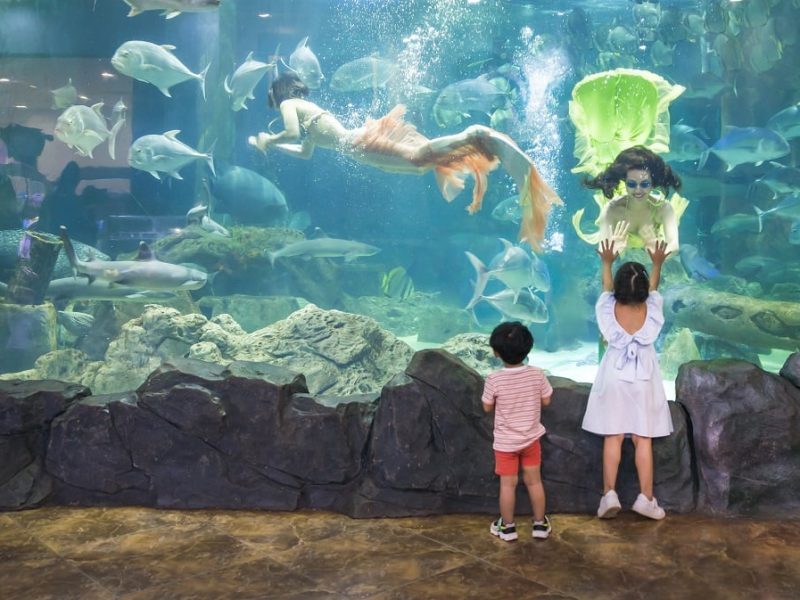 Exciting games at VinKE & Vinpearl Aquarium Times City Exciting games at VinKE & Vinpearl Aquarium Times City