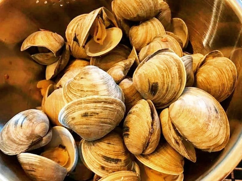 Hard Clam-Photo: @ka.lyn.on.me.inc Hard Clam-Photo: @ka.lyn.on.me.inc