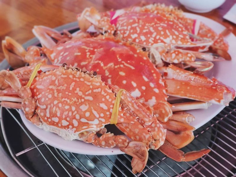 Sentinel Crab-Photo: @vian.b Sentinel Crab-Photo: @vian.b