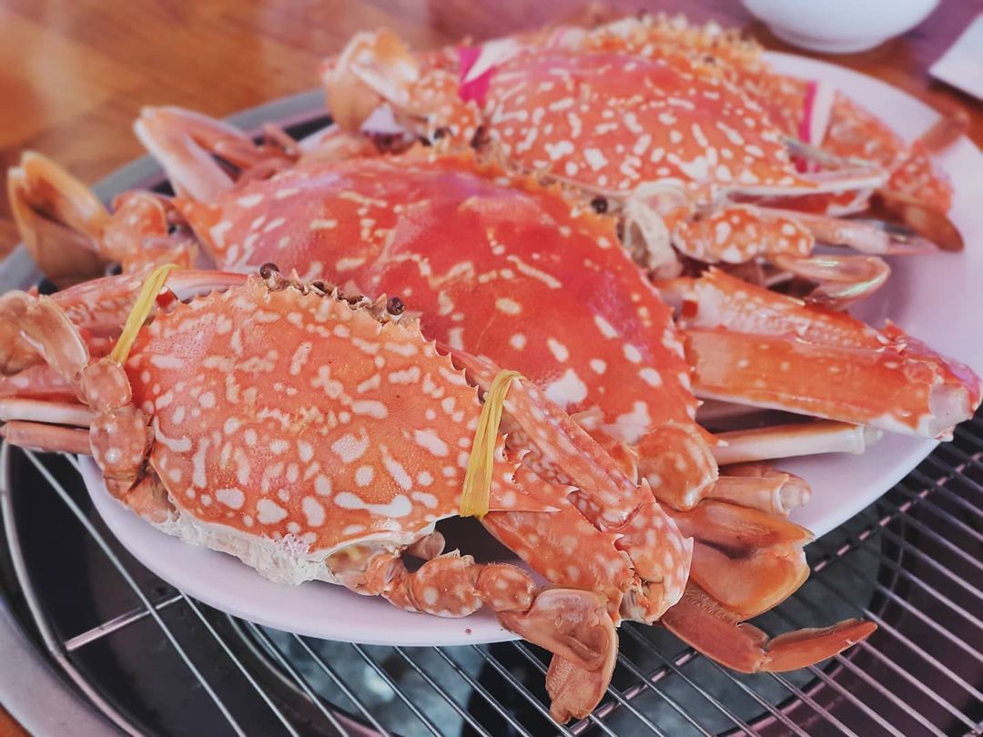 Top 10 Best Seafood Dishes: Enjoying at Vietnam Beaches