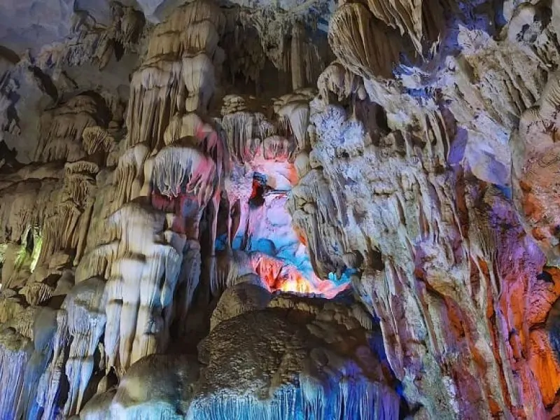 The intricate system of stalactites in Thien Cung Cave (Source: Collected) The intricate system of stalactites in Thien Cung Cave (Source: Collected)