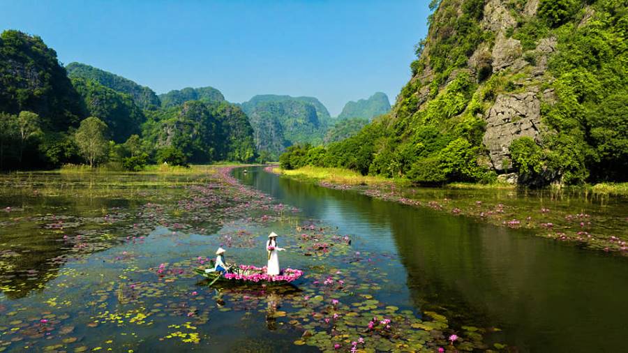 Tam Coc’s Water Lily Season | Vietnam Discovery Tours