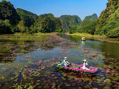 Boating Along the Water Lily Fields - Source: Pham Hoang Cuong Boating Along the Water Lily Fields - Source: Pham Hoang Cuong