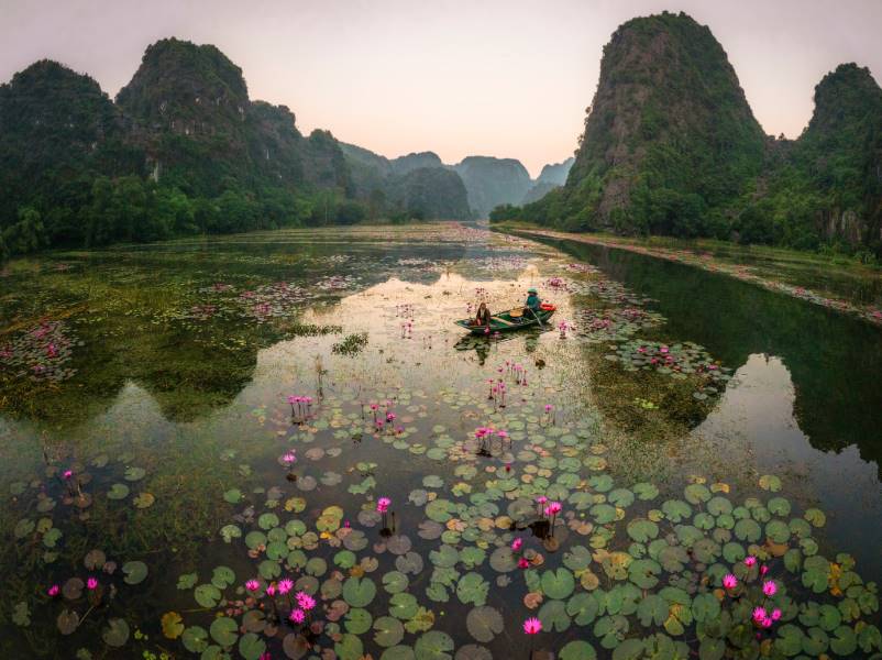 Tam Coc’s Water Lily Season | Vietnam Discovery Tours