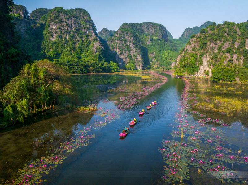 Tam Coc’s Water Lily Season | Vietnam Discovery Tours