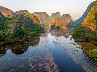 Tam Coc's Water Lily Season: Discover a Floral Wonderland Boat gliding between limestone mountains in Tam Coc, Ninh Binh
